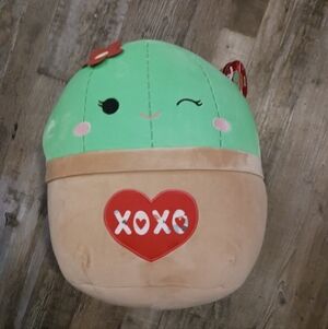 Squishmallow Shadi Valentine Cactus Plush 14"